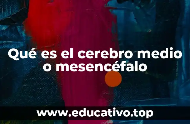 Qué es el cerebro medio o mesencéfalo