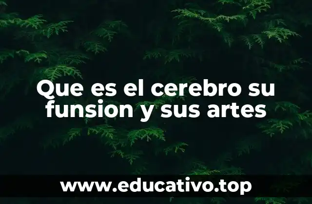 El cerebro y la base de la conducta humana