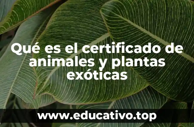 Qué es el certificado de animales y plantas exóticas