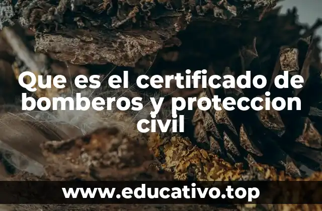 La importancia de contar con formación en bomberismo y protección civil