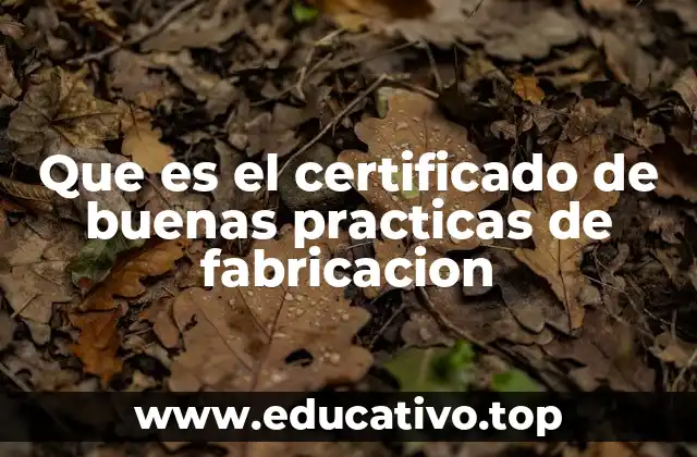Que es el certificado de buenas practicas de fabricacion