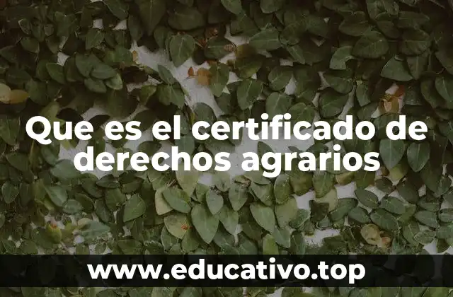 La importancia del certificado en el desarrollo rural