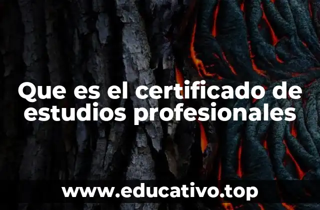 Que es el certificado de estudios profesionales