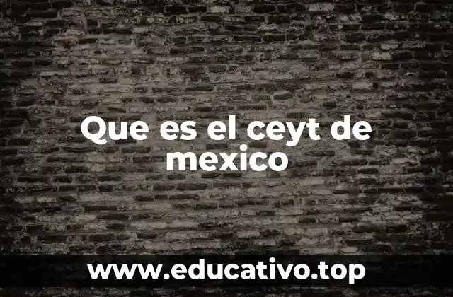 Que es el ceyt de mexico