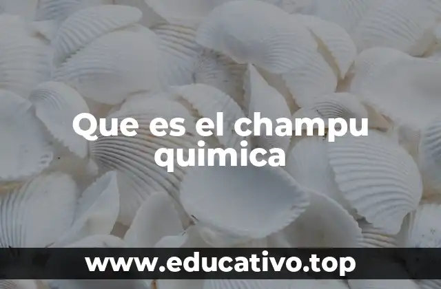 Cómo funciona la química del champú en el cabello
