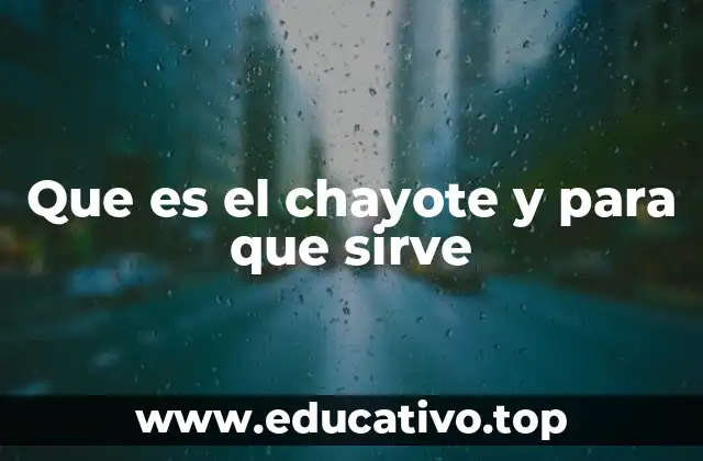 Que es el chayote y para que sirve