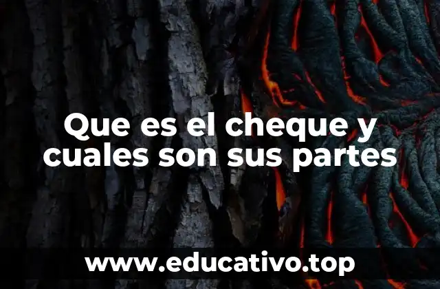 Que es el cheque y cuales son sus partes