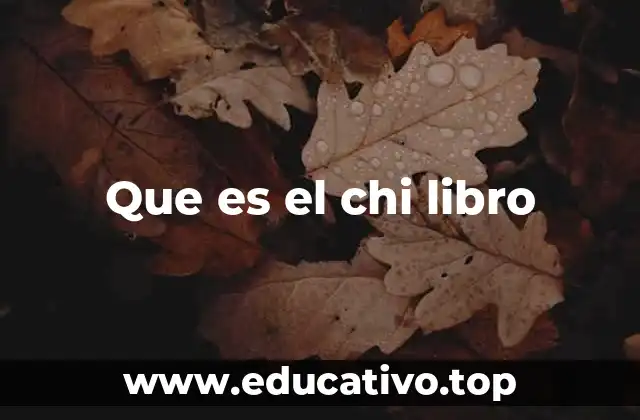 Que es el chi libro