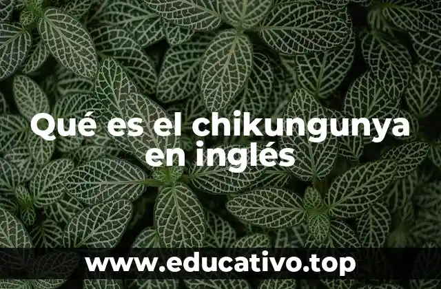 Qué es el chikungunya en inglés