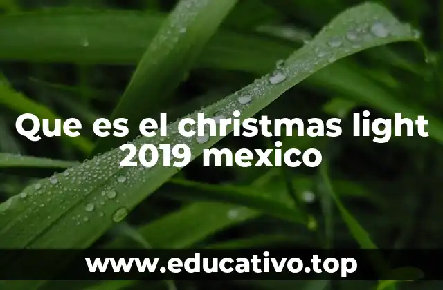 Que es el christmas light 2019 mexico