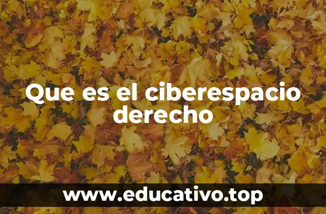 Que es el ciberespacio derecho