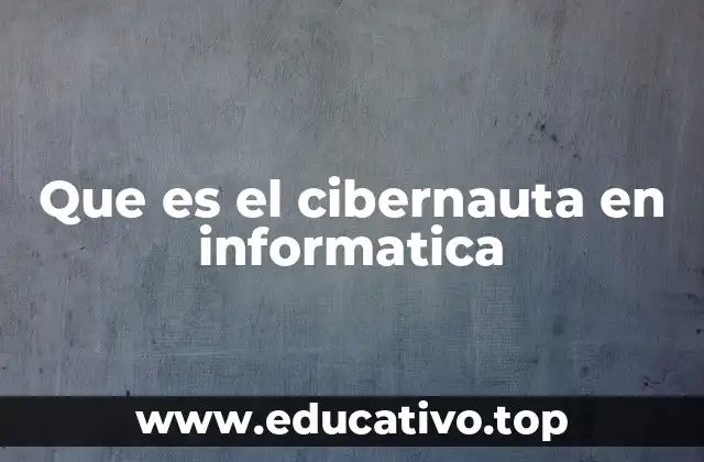 Que es el cibernauta en informatica