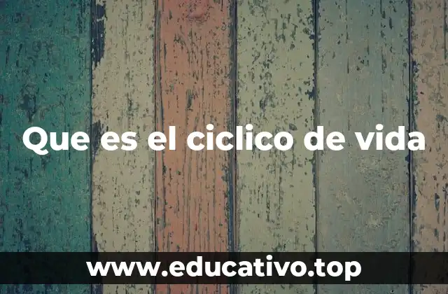 Que es el ciclico de vida