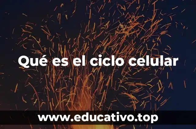 El ciclo celular y su importancia en la vida de las células