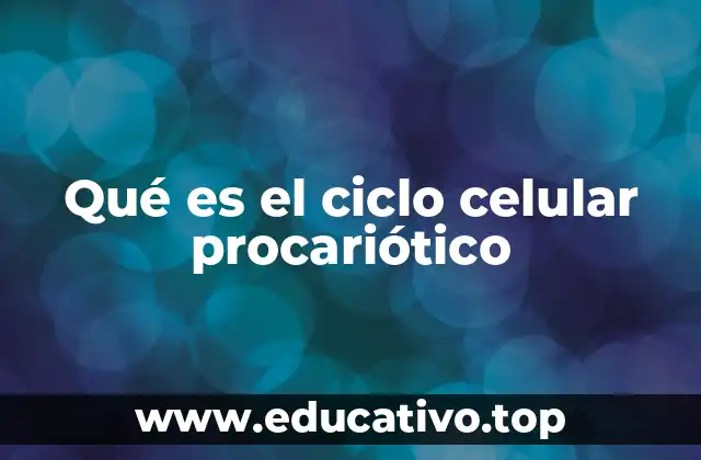Qué es el ciclo celular procariótico