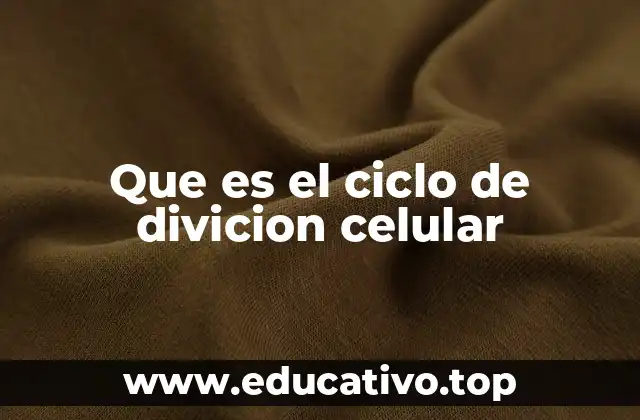 Que es el ciclo de divicion celular