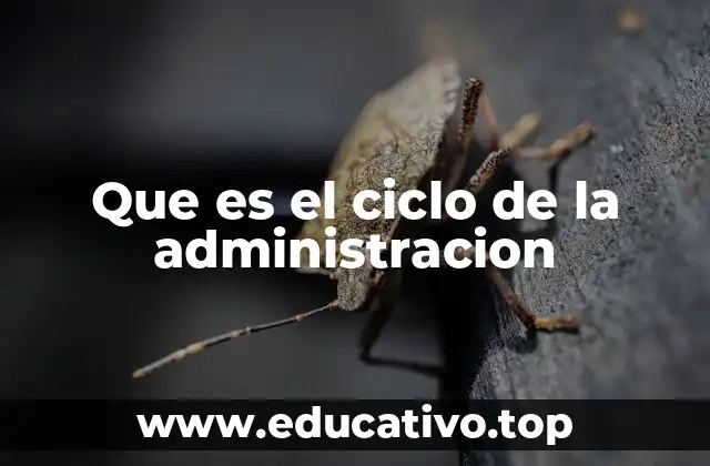 Que es el ciclo de la administracion