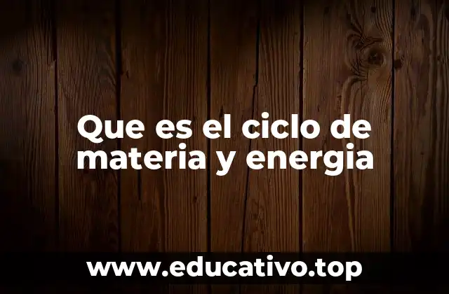 Que es el ciclo de materia y energia