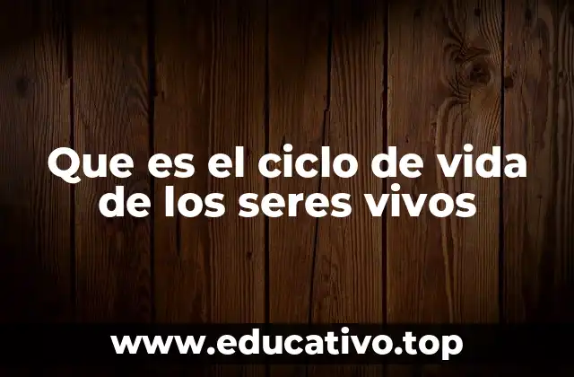 Que es el ciclo de vida de los seres vivos