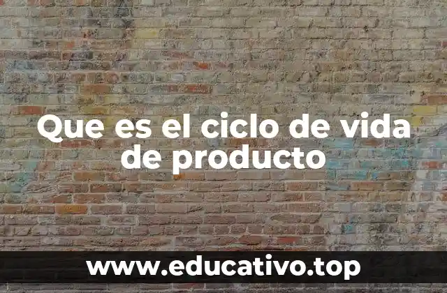 Que es el ciclo de vida de producto