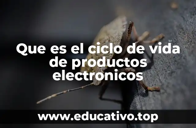 El impacto del ciclo de vida en el desarrollo sostenible