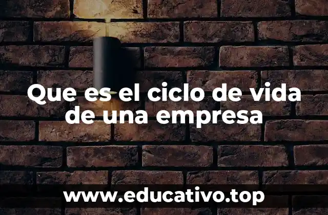 Que es el ciclo de vida de una empresa
