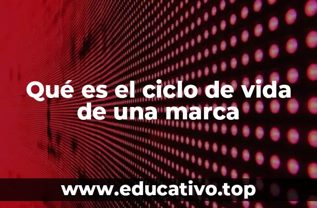 Qué es el ciclo de vida de una marca