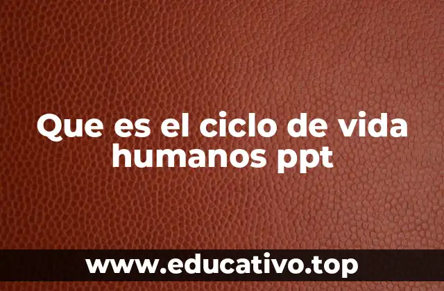 Que es el ciclo de vida humanos ppt