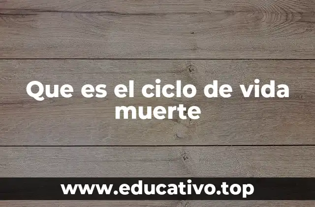Que es el ciclo de vida muerte