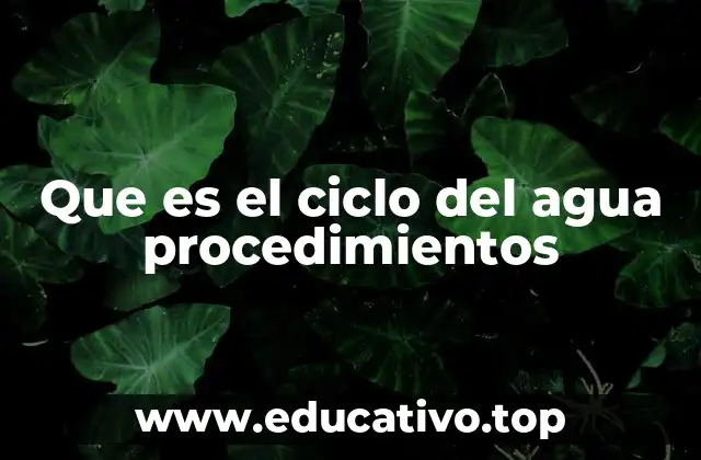 Que es el ciclo del agua procedimientos