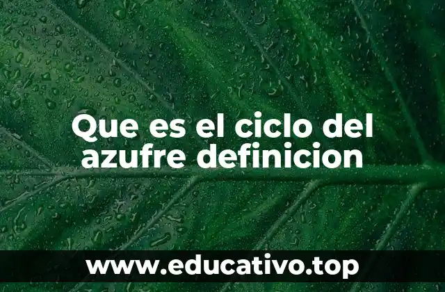 Que es el ciclo del azufre definicion