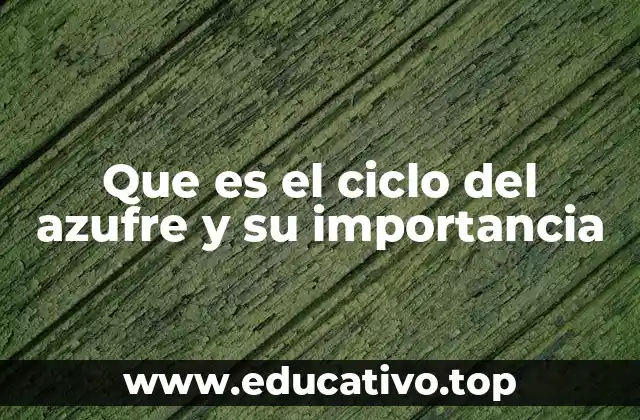 Que es el ciclo del azufre y su importancia