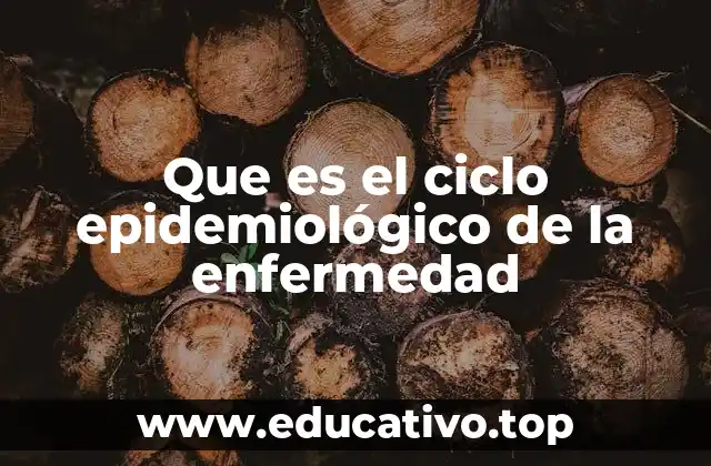 Que es el ciclo epidemiológico de la enfermedad