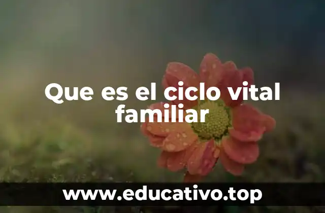 Que es el ciclo vital familiar