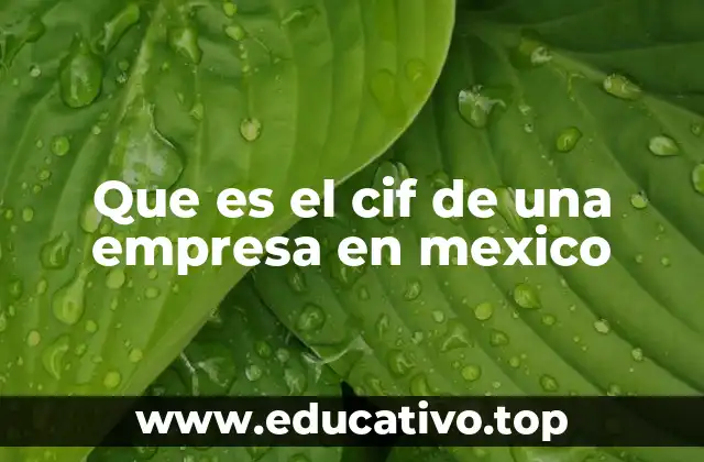 Que es el cif de una empresa en mexico