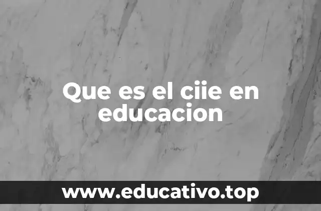 Que es el ciie en educacion