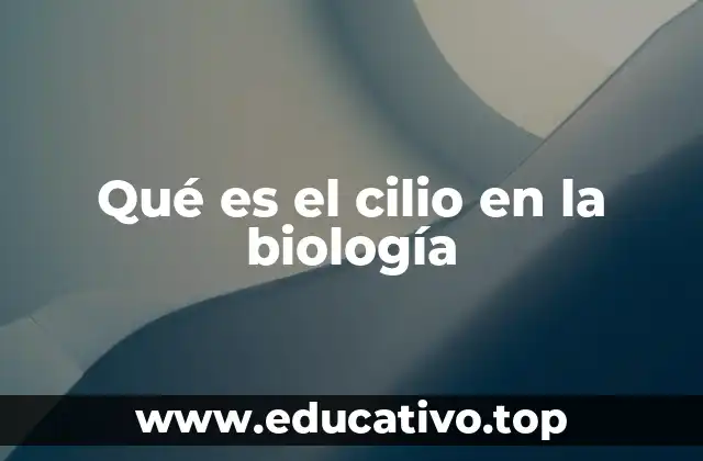 Qué es el cilio en la biología