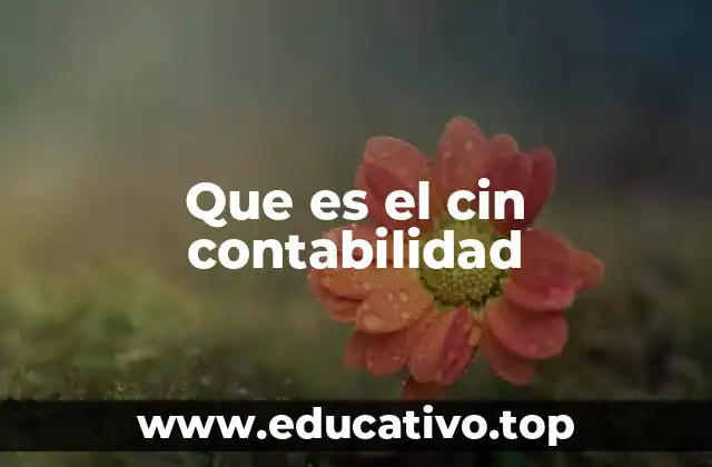Que es el cin contabilidad