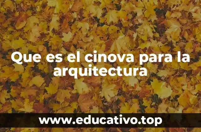 Que es el cinova para la arquitectura