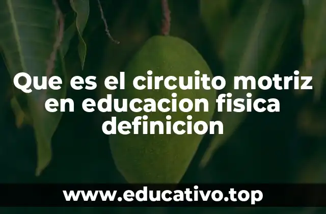 Que es el circuito motriz en educacion fisica definicion
