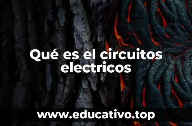 Qué es el circuitos electricos