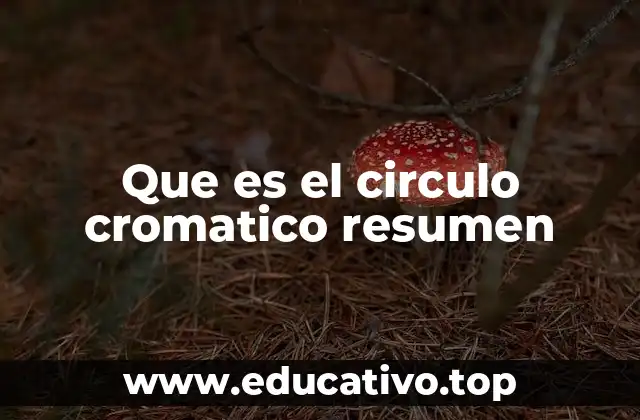 Que es el circulo cromatico resumen