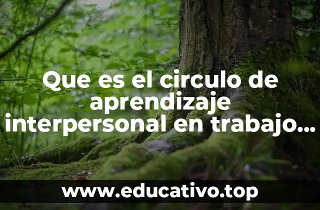 Que es el circulo de aprendizaje interpersonal en trabajo social