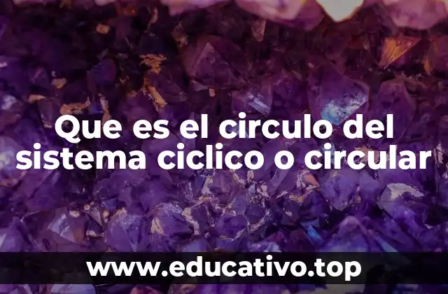 Que es el circulo del sistema ciclico o circular