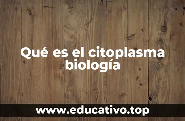 Qué es el citoplasma biología