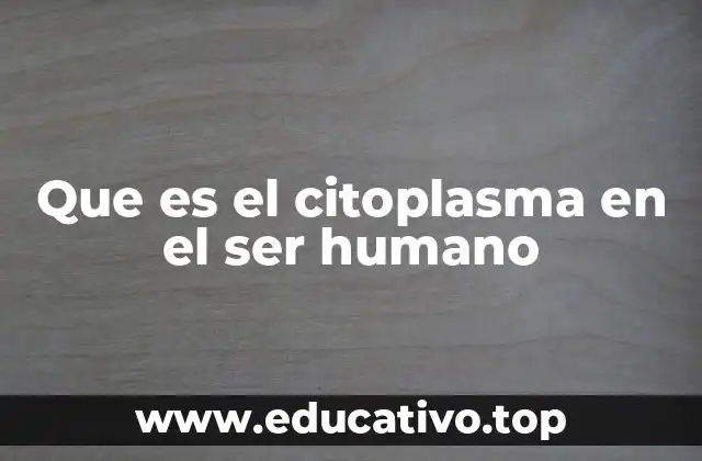 Que es el citoplasma en el ser humano