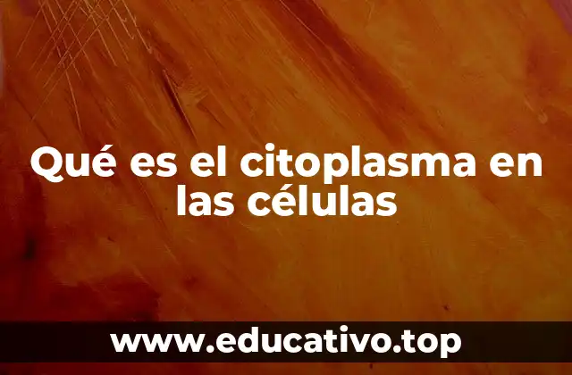 Qué es el citoplasma en las células