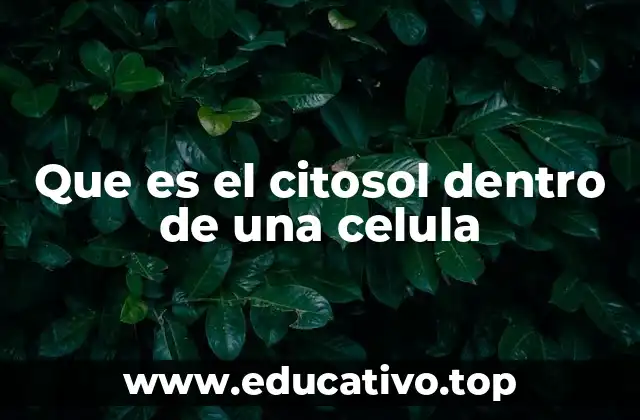 Que es el citosol dentro de una celula