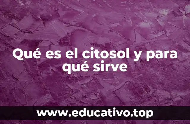 Qué es el citosol y para qué sirve