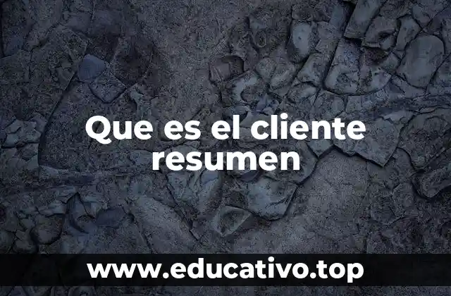 Que es el cliente resumen